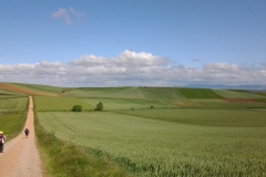 paysage de rioja