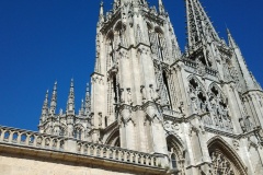 burgos